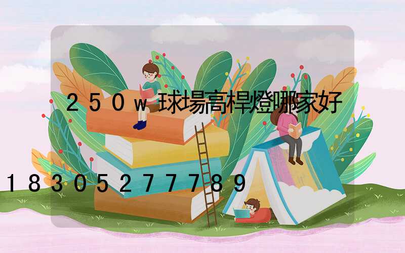 250w球場高桿燈哪家好