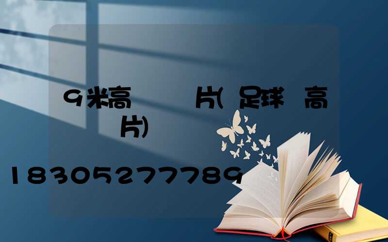 9米高桿燈圖片(足球場高桿燈圖片)