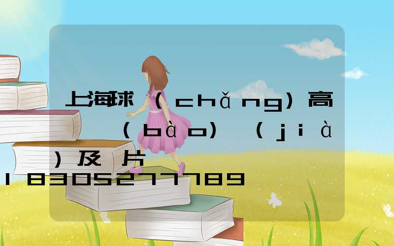 上海球場(chǎng)高桿燈報(bào)價(jià)及圖片