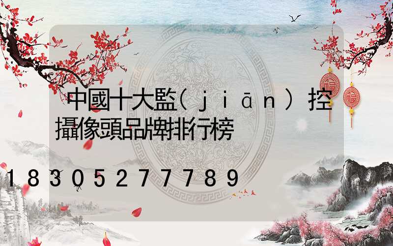 中國十大監(jiān)控攝像頭品牌排行榜