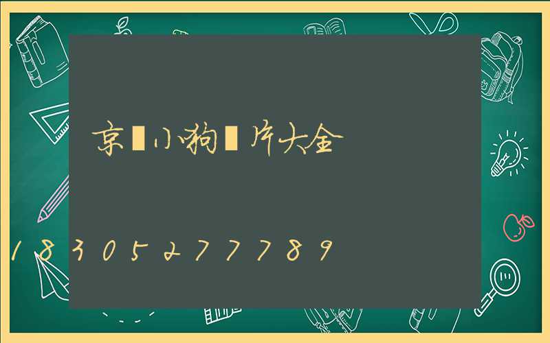 京東小狗圖片大全