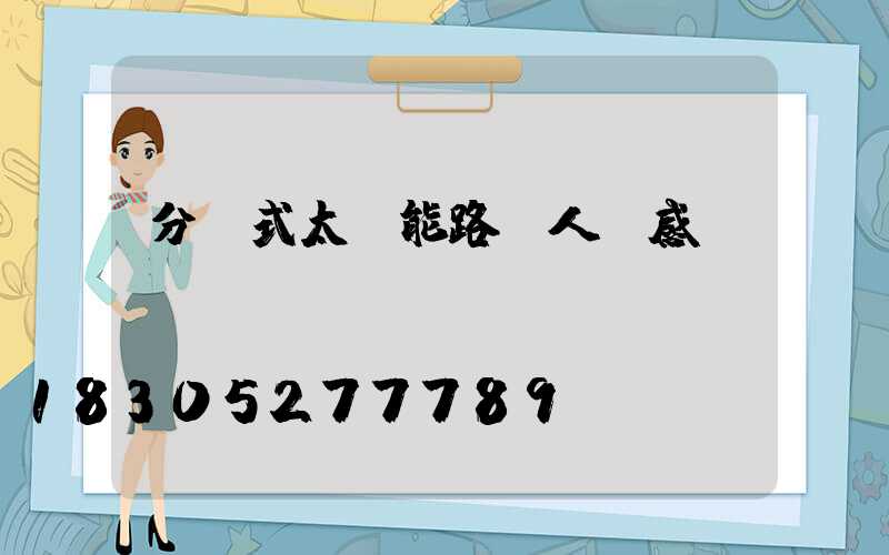 分體式太陽能路燈人體感應(yīng)