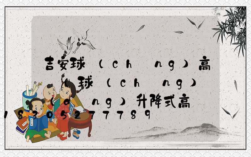 吉安球場(chǎng)高桿燈(球場(chǎng)電動(dòng)升降式高桿燈)