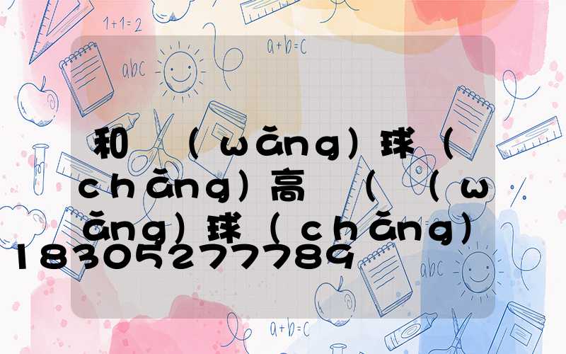 和龍網(wǎng)球場(chǎng)高桿燈(網(wǎng)球場(chǎng)燈柱)