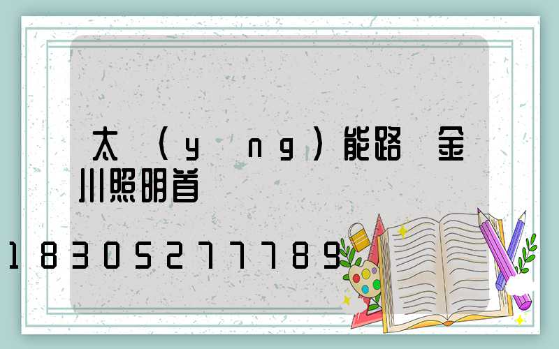 太陽(yáng)能路燈金川照明首選