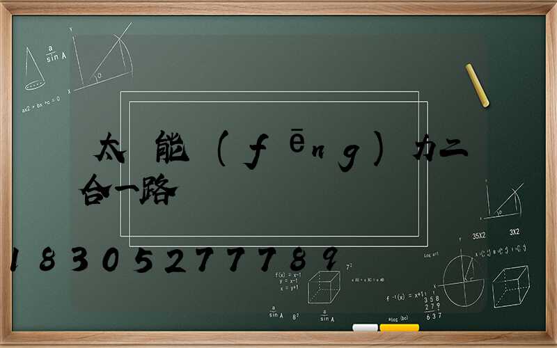 太陽能風(fēng)力二合一路燈