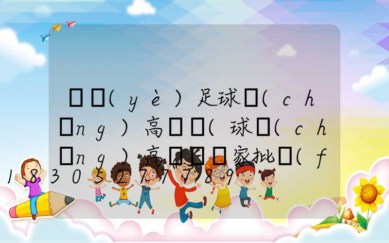 專業(yè)足球場(chǎng)高桿燈(球場(chǎng)高桿燈廠家批發(fā))