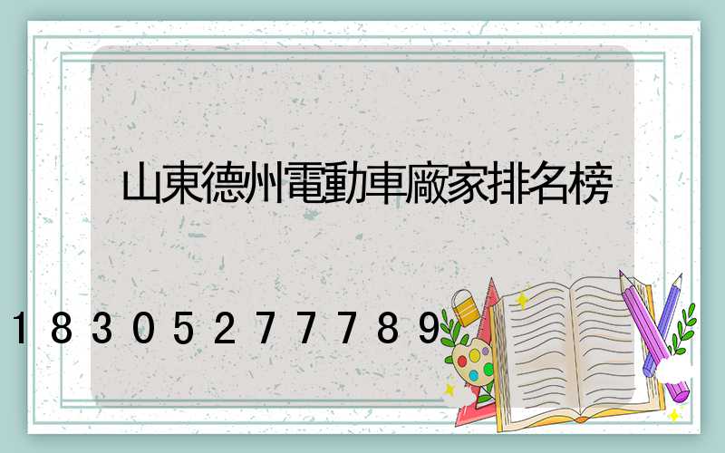 山東德州電動車廠家排名榜