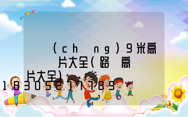 廣場(chǎng)9米高桿燈圖片大全(路燈高桿燈圖片大全)