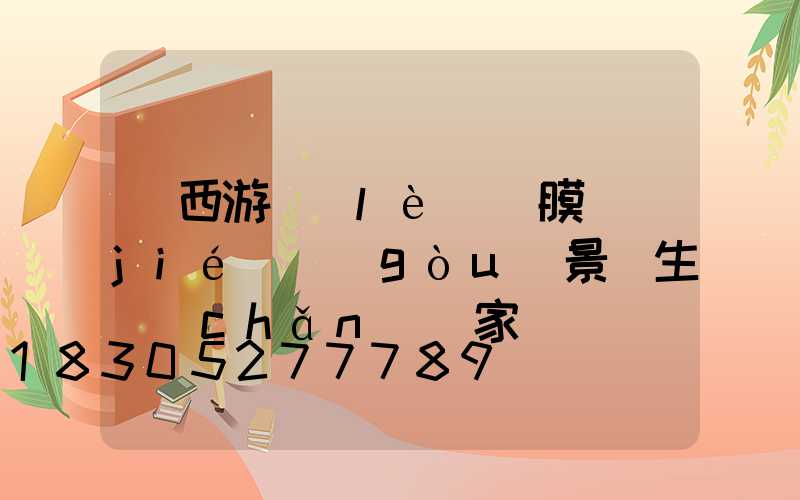 廣西游樂(lè)園膜結(jié)構(gòu)景觀生產(chǎn)廠家