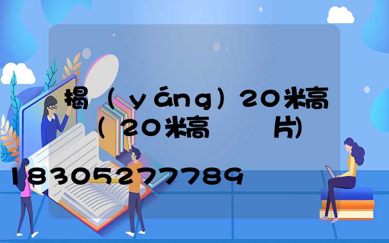 揭陽(yáng)20米高桿燈(20米高桿燈圖片)