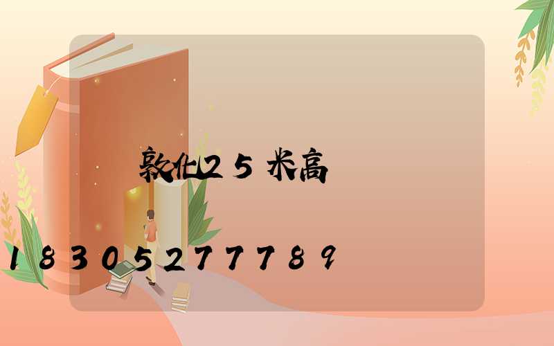 敦化25米高桿燈