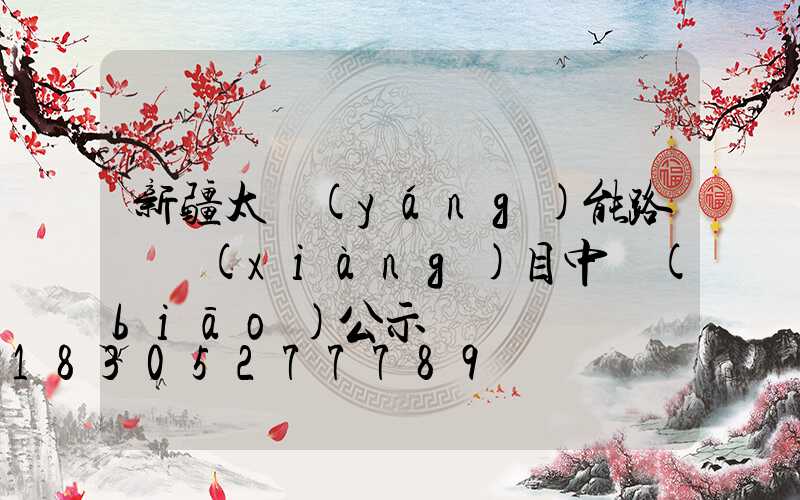 新疆太陽(yáng)能路燈項(xiàng)目中標(biāo)公示