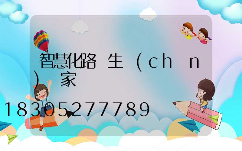 智慧化路燈生產(chǎn)廠家