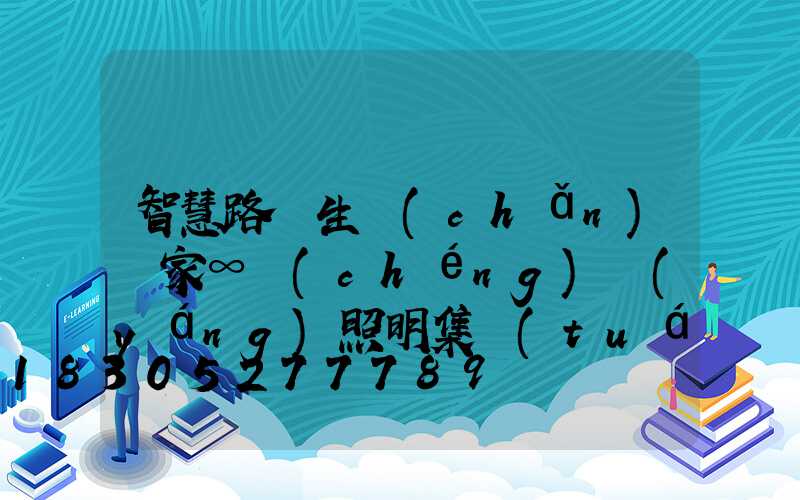 智慧路燈生產(chǎn)廠家∞誠(chéng)陽(yáng)照明集團(tuán)(岳陽(yáng)智慧路燈生產(chǎn)廠家)