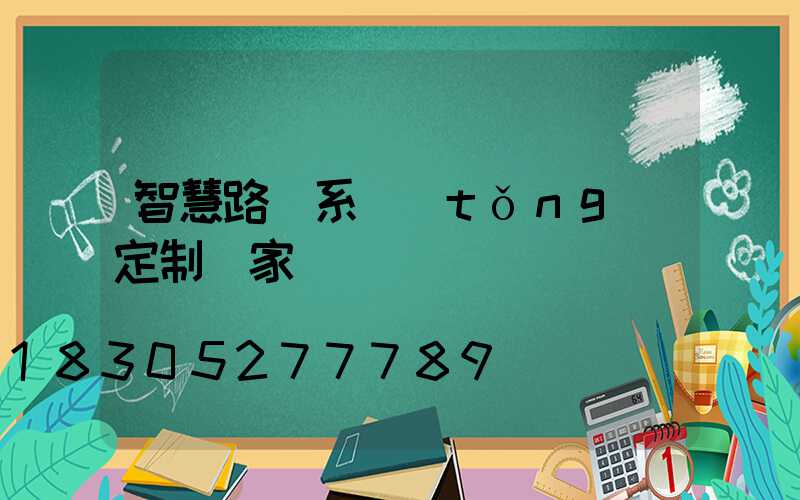 智慧路燈系統(tǒng)定制廠家