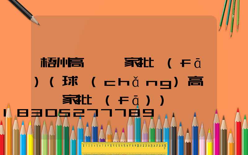 梧州高桿燈廠家批發(fā)(球場(chǎng)高桿燈廠家批發(fā))