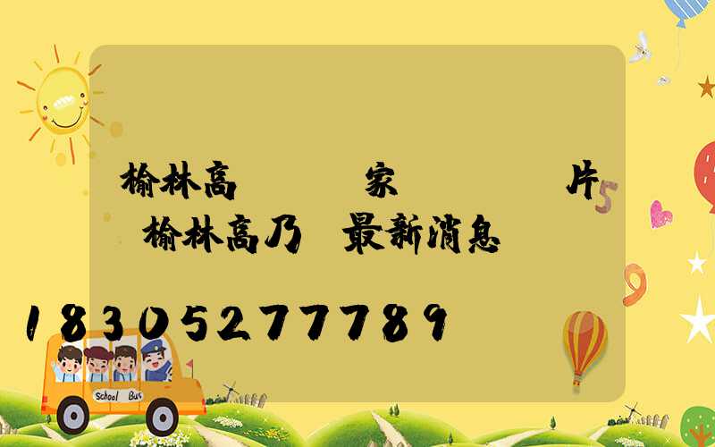 榆林高桿燈廠家報價及圖片(榆林高乃則最新消息)