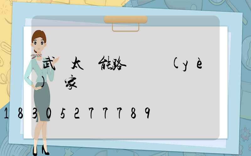 武漢太陽能路燈專業(yè)廠家