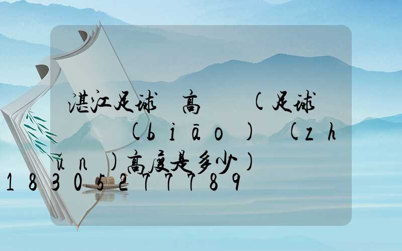 湛江足球場高桿燈(足球場燈桿標(biāo)準(zhǔn)高度是多少)