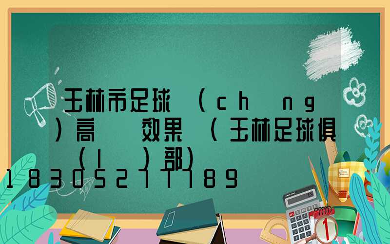 玉林市足球場(chǎng)高桿燈效果圖(玉林足球俱樂(lè)部)