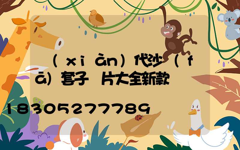 現(xiàn)代沙發(fā)套子圖片大全新款