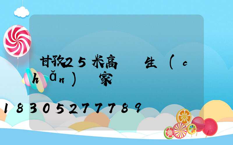 甘孜25米高桿燈生產(chǎn)廠家