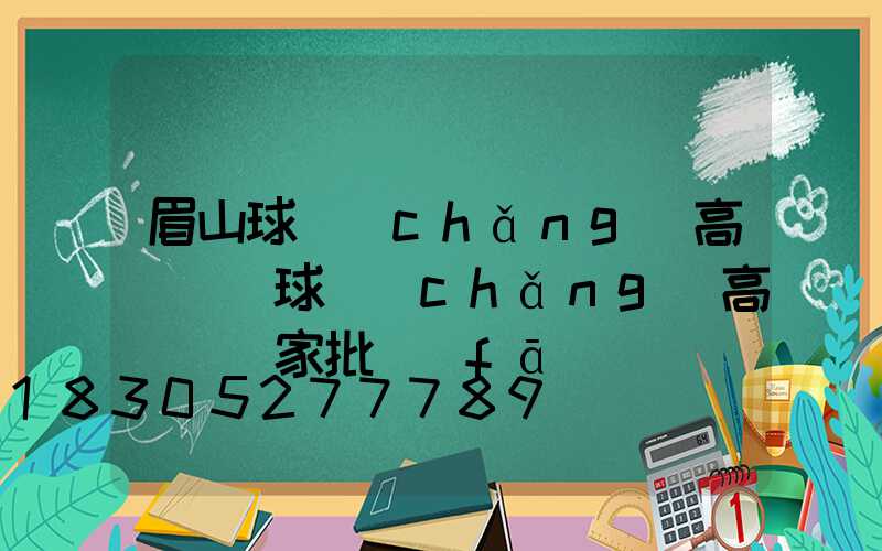 眉山球場(chǎng)高桿燈(球場(chǎng)高桿燈廠家批發(fā))