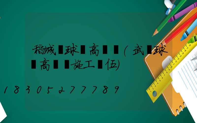 稻城縣球場高桿燈(武漢球場高桿燈施工隊伍)