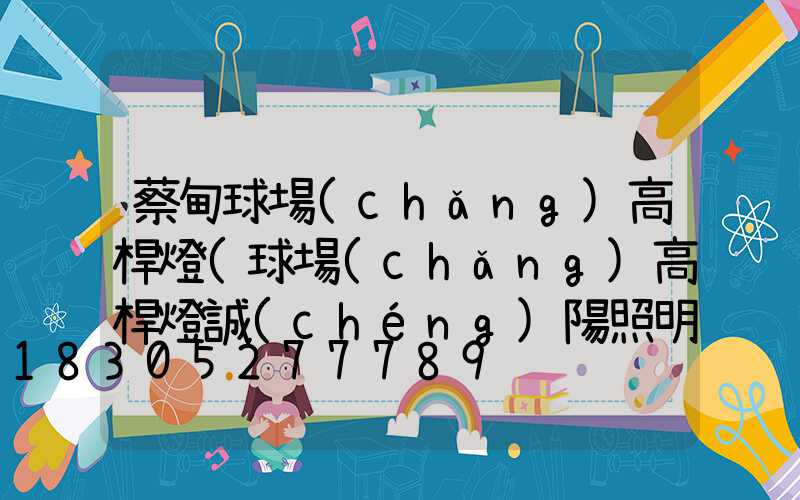 蔡甸球場(chǎng)高桿燈(球場(chǎng)高桿燈誠(chéng)陽照明集團(tuán))