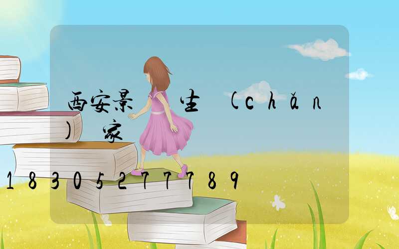 西安景觀燈生產(chǎn)廠家