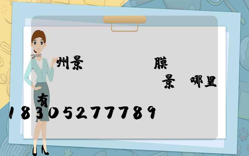 貴州景區(qū)膜結(jié)構(gòu)景觀哪里有