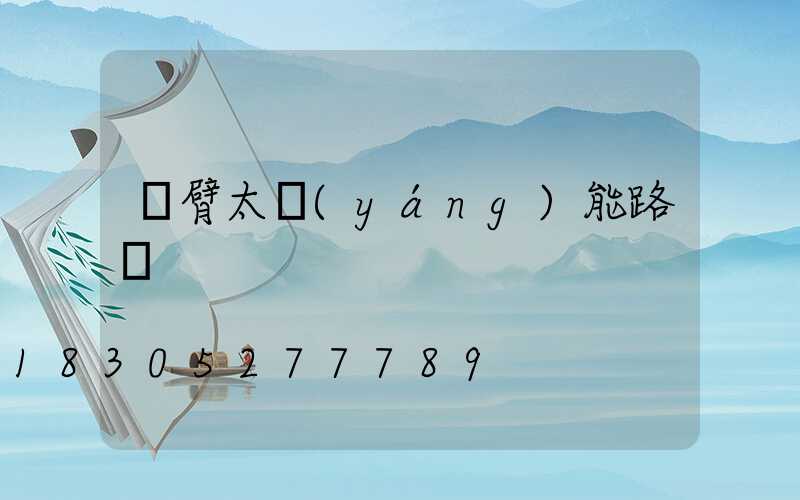 雙臂太陽(yáng)能路燈