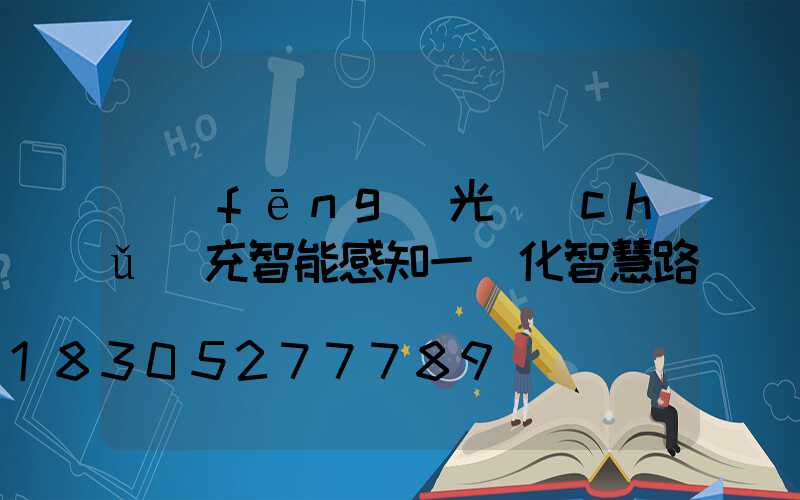 風(fēng)光儲(chǔ)充智能感知一體化智慧路燈